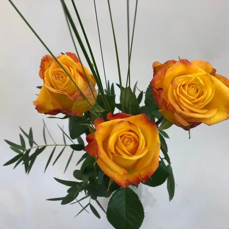 Orange Rosen